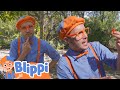 Bliipi geht auf Sinnesreise 🌺 Blippi Deutsch | Abenteuer und Videos für Kinder