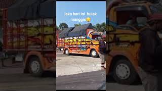 tabrakan di candi puro Lumajang tadi siang lurr