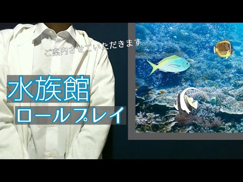 【ASMR】水族館ロールプレイ◇サンゴ礁の魚とジンベエザメ/Aquarium role play