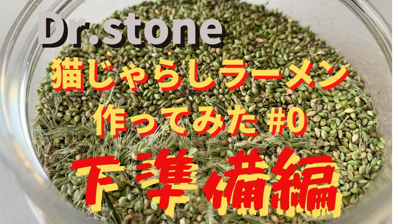 Dr Stone の猫じゃらしラーメンを作ってみた 0 1週間前下準備 Youtube