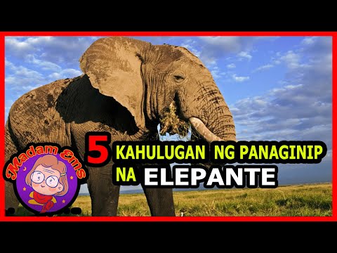 Video: Ano ang ibig sabihin kapag nanaginip ka tungkol sa isang elepante na namamatay?