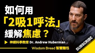 如何1分鐘內緩解焦慮 ► 用「2吸1呼法」 聽聽史丹佛大學教授怎麽說 Dr. Andrew Huberman 安德魯胡伯曼博士中英字幕