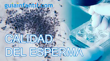 ¿Como debe ser el esperma del hombre para embarazar?