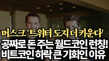 공짜로 돈을 주는 월드코인 런칭 일론머스크 트위터 도지 세계금융의 절반이 된다 비트코인 하락이 기회인 이유들