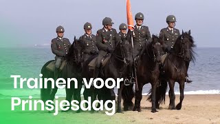 Hoe train je paarden voor Prinsjesdag? | Het Klokhuis