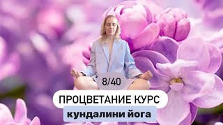 8/40 ПРОЦВЕТАНИЕ