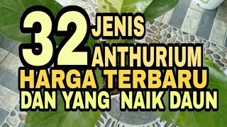 32 TYPES OF ANTHURIUM WITH THE LATEST PRICES AND CURRENTLY IN STOCK