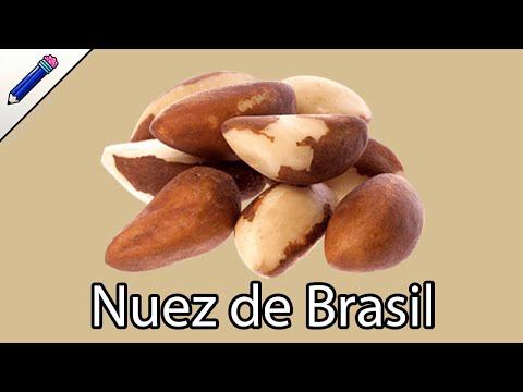 Video: Nueces De Brasil: Beneficios Y Daños