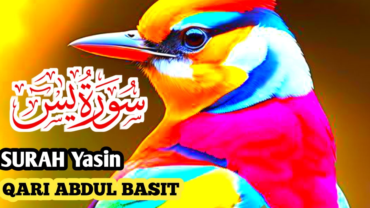 Surah Yasinn | Yasin Sharif (یسین)| Surah Yaseen With Arabic HD text ...
