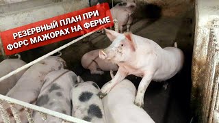 РЕЗЕРВНЫЙ ПЛАН ПРИ ФОРС МАЖОРАХ НА ФЕРМЕ