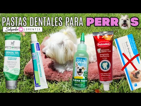 Video: Pasta de dientes recomendada para perros
