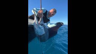Dampier Classic celebrates half-century milestone