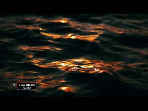 EMBRZ - Slow Bloom