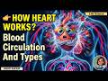 BLOOD CIRCULATION |Animal Physiology| Mammalian Heart|  CSIR NET /SET |CUET UG/PG Life Sciences 2026