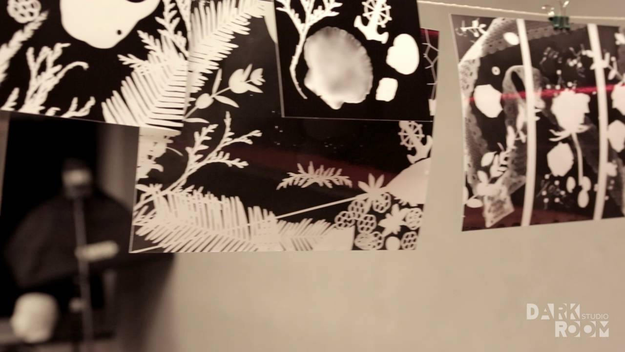 Фотограмма - YouTube