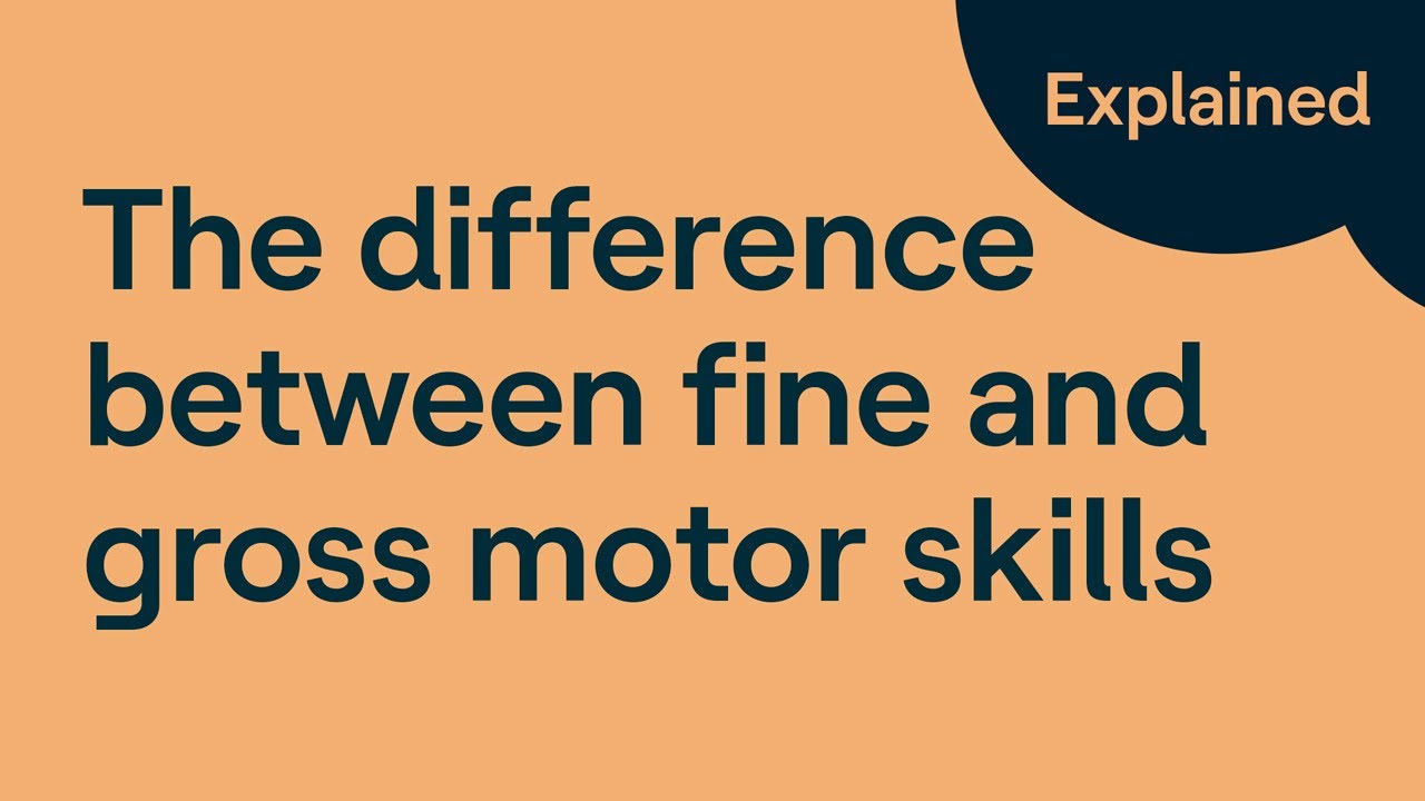 Gross Motor Skills Vs Fine Motor Skills What s The Difference YouTube
