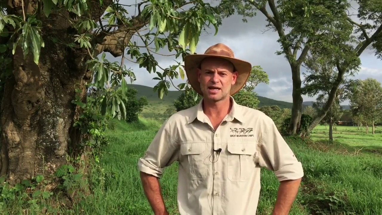 Great Migration Camps LiveReviews - What, how & when ?