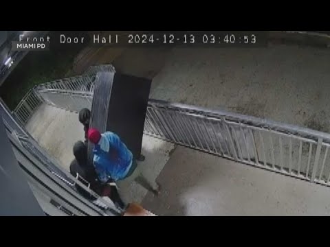 Caught on camera: Thieves steal safe from Miami tobacco shop - YouTube