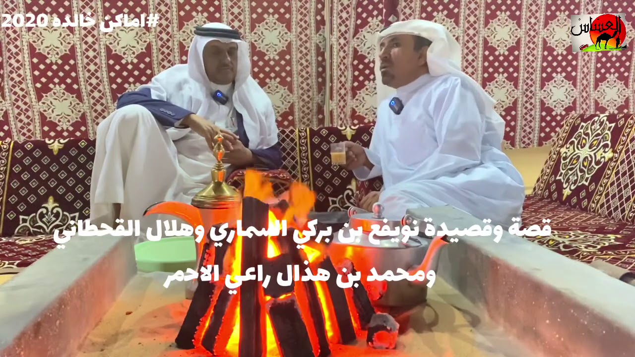 قصة نويفع بن بركي السماري وهلال القحطاني والشيخ / محمد بن هذال راعي الاحمر  والكرم 1442/4/4