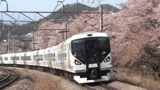 E257系特急あずさ その2