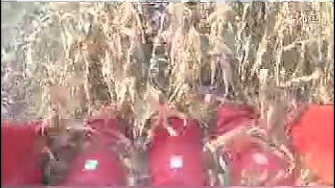 Tianren TR9988 Corn Harvester Work Video