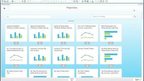 Advanced Dashboards   SAP Business One HANA Series