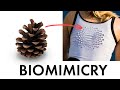 Biomimicry has massive potential why arent designers using it