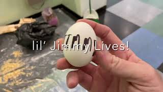 CSCS Physics Honors Egg Drop 2024