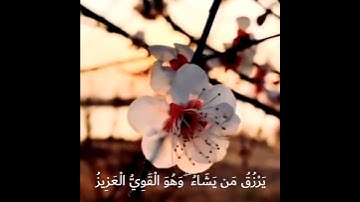 ستوريات انستا قران راحة نفسية/تلاوة قرانية قصيرة/ستوريات قران قصيرة/ستوريات قران بدون حقوق