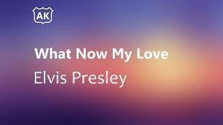 Elvis Presley - What Now My Love (Lyrics)