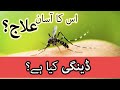 What is dengue? dengue bukhar ki alamat?