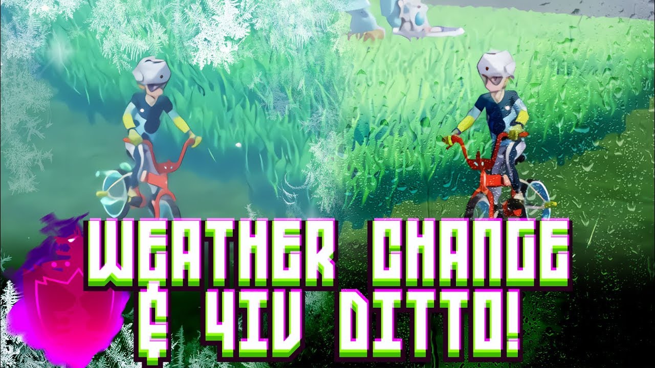 How To Change The Wild Area Weather 4iv Ditto Guide In Pokemon Sword Shield