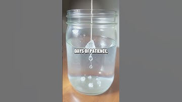 The Captivating Crystallization Experiment