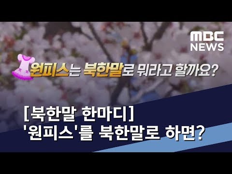[북한말 한마디] '원피스'를 북한말로 하면? / MBC 통일전망대 (2019년 3월 30일)