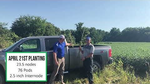 Test Plot Tour 2020: Soybean Planting Date