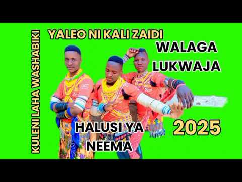 WALAGA LUKWAJA HALUSI YA NEEM FT BY