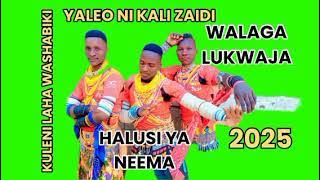 WALAGA LUKWAJA HALUSI YA NEEM FT BY
