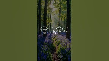 قالت إن الملوك إذا دخلوا قرية أهلكوها وجعلوا أعزة أهلها أذلة - تلاوة اسطورية للشيخ يوسف البهتيمي