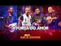 A FORÇA DO AMOR - Os Mulekes [DVD Vem Voar]