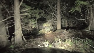 Night driving on abandoned Forest Road [ASMR\/scary]
