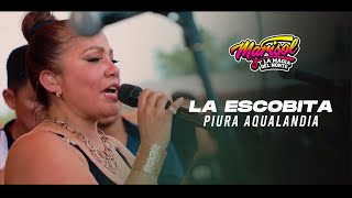 Versión 3 del video