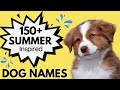 150+ Dog Names | Bright, Fun and Happy Names for your Dog 🌞🌊 | Unisex Dog Names