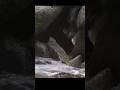 Crack Bear Catching A Salmon Crack Bear Catching A Salmon