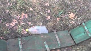 Hela Od Plavog Korala