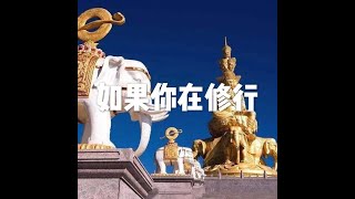 201812 如果你在修行50910