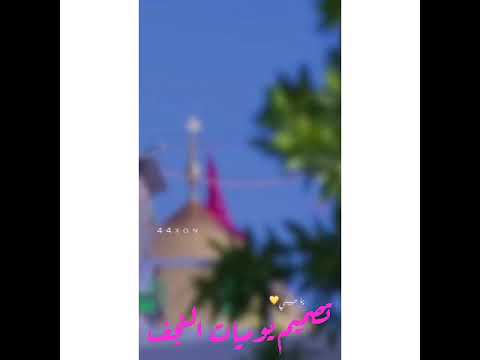 باسم الكربلائي كاد دمع زينب اشكرك يا حبيبي