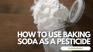 How to Use Baking Soda as a Pesticide and Fungicide