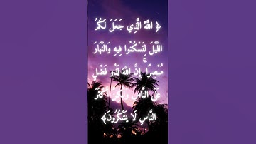 السورة: غافر القارئ: ياسر الدوسري الايه: 61