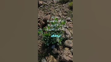 سبحان الله #المصحف #اكسبلور #تصويري #لايك من روائع التلاوات النادره لفضيله الشيخ عبد الباسط