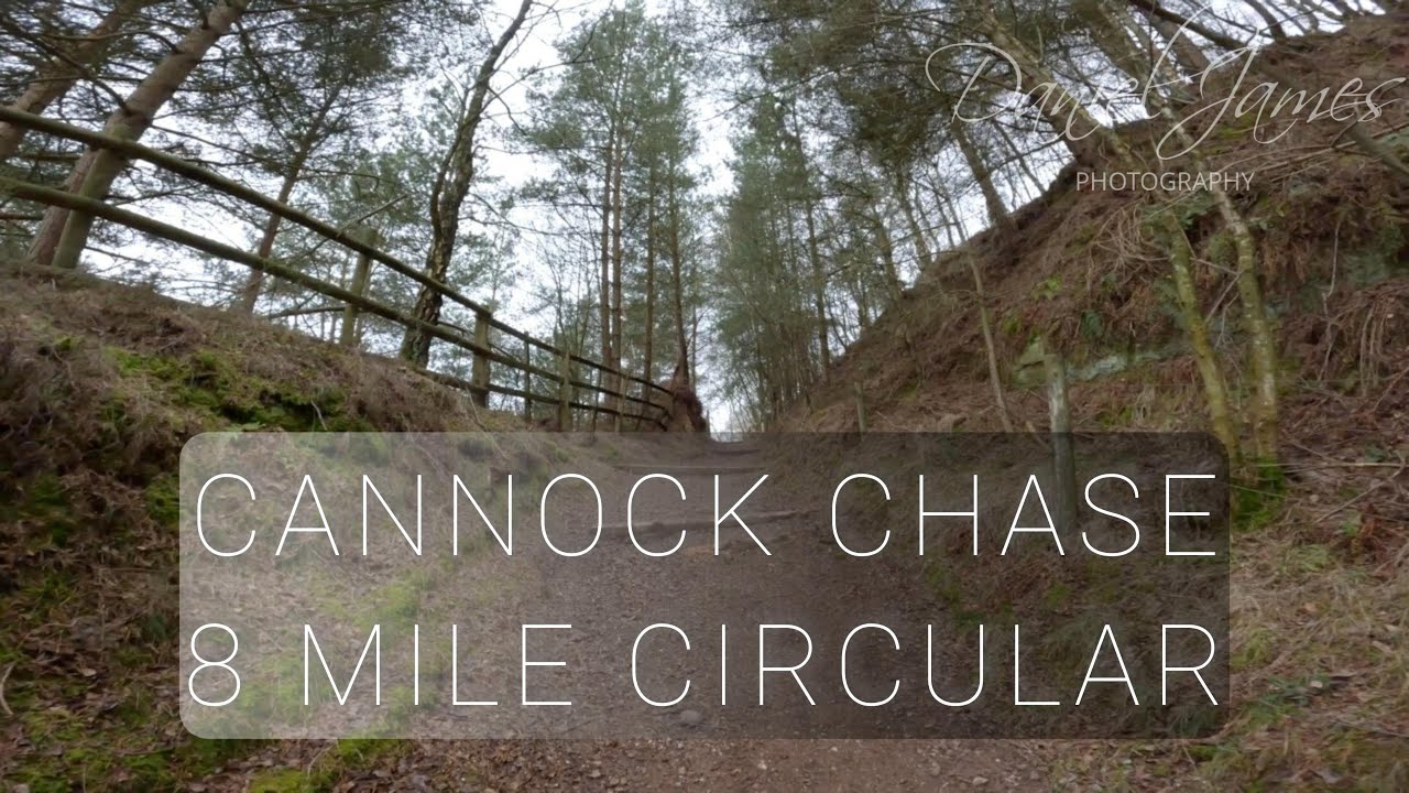 Cannock Chase 8 Mile Circular Walk - Slitting Mill 4th February 2024 